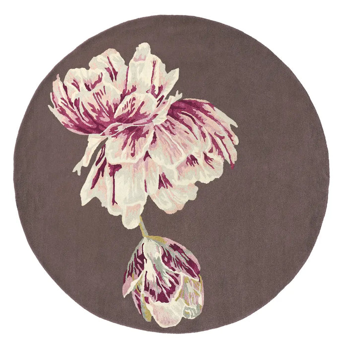 Tranquility Ted Baker -Aubergine 056005 Rug