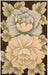 Nourison tropics nourison ts09 brown Brown Living Room Wool Rug.