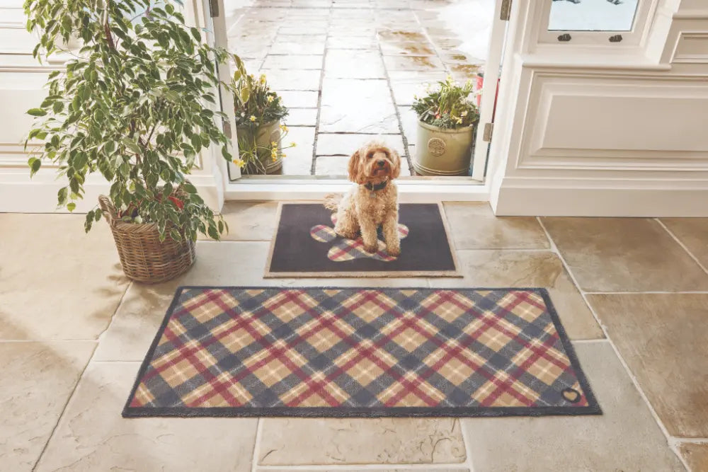 Hug Rug Washable Tartan Paw Multi