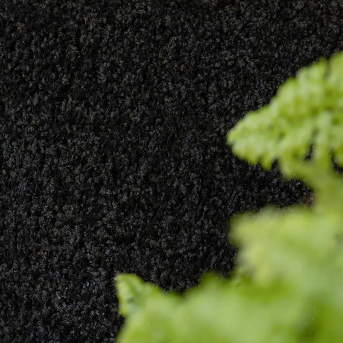 Vancouver Black
