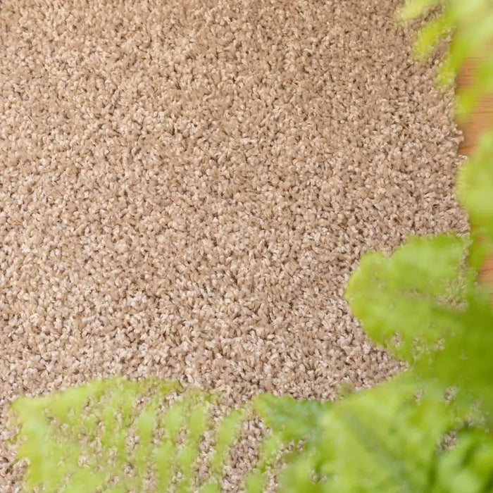Vancouver Oatmeal