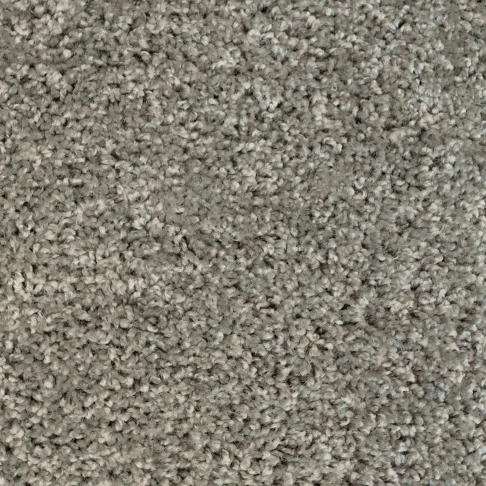 Vancouver Silver