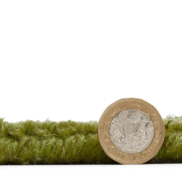Windsor Wool Border Green