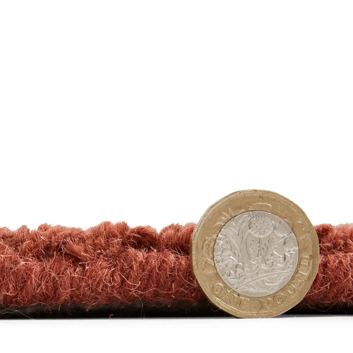 Windsor Wool Border Terracotta