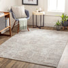 Allegro-Abstract  Beige Grey Modern Marble Living Dining Bedroom Rug ALG2320