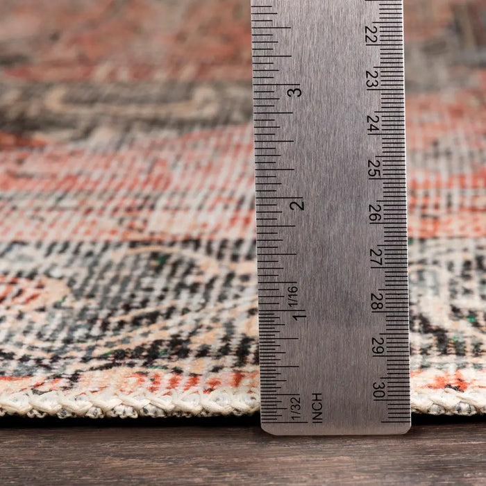 LANA Machine Washable Traditionnal Boho Brown/Tan/Ivory Rug