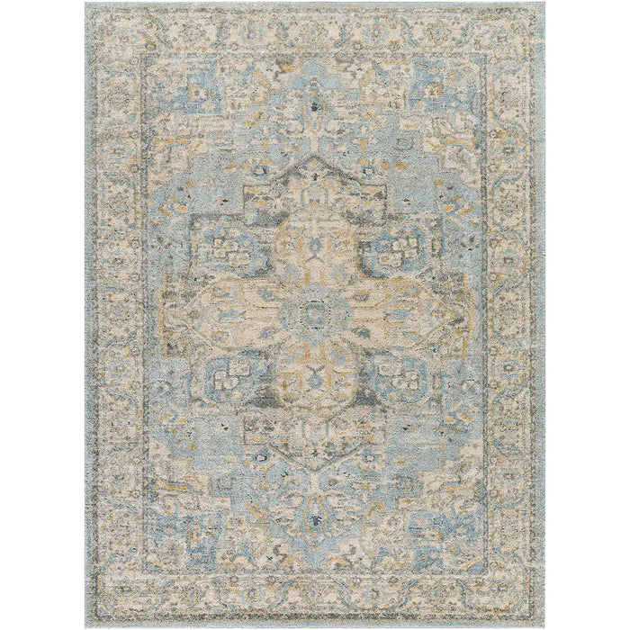 Avellino Vintage Beige Blue Gray Traditional Boho High Pile Living Dining Bedroom Rug AVL2300