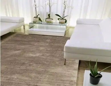 Asiatic bellagio bellagio taupe Brown, Beige Living Room  Rug.