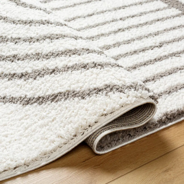 PIHU Shaggy Global Plush Pile Light Grey Rug