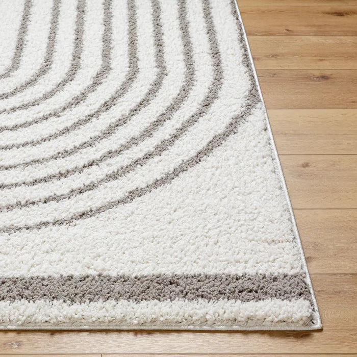 PIHU Shaggy Global Plush Pile Light Grey Rug