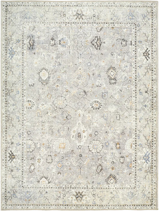 RAVEENA Becki Owens x Livabliss Vintage Traditional Oriental Boho Light Grey Rug