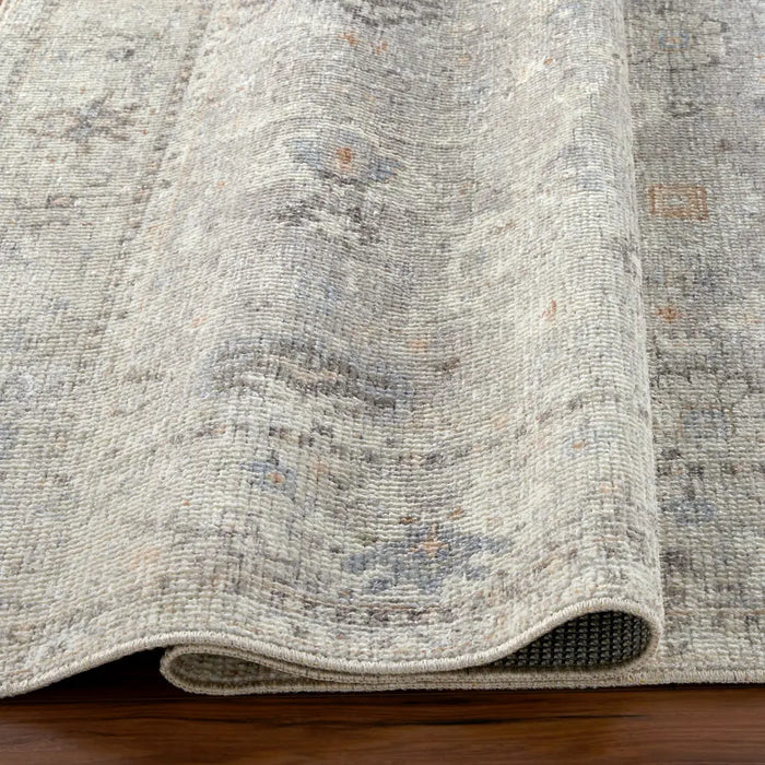 RAVEENA Becki Owens x Livabliss Vintage Traditional Oriental Boho Light Grey Rug