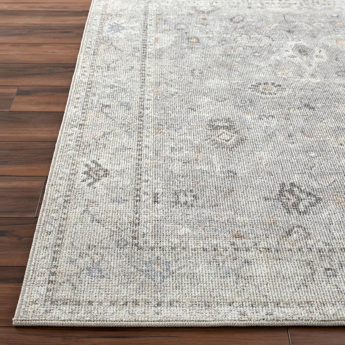 RAVEENA Becki Owens x Livabliss Vintage Traditional Oriental Boho Light Grey Rug