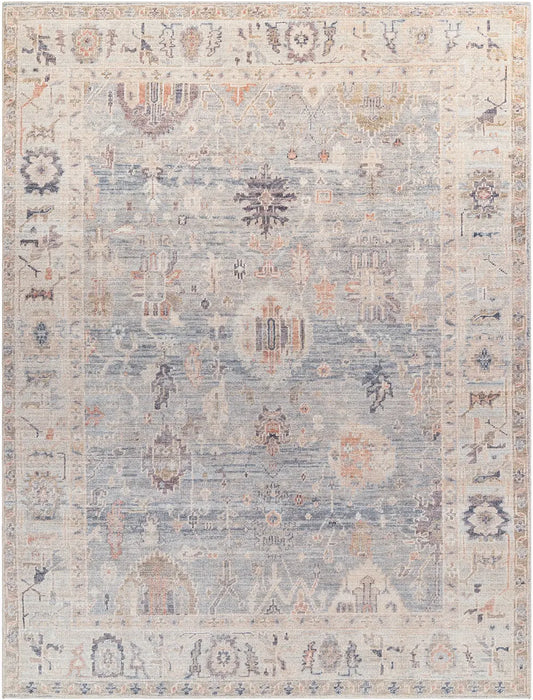 AANSHI Becki Owens x Livabliss Vintage Traditional Oriental Boho Grey/Pale Blue Rug