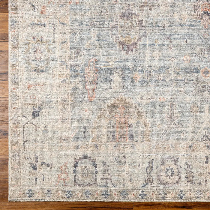 AANSHI Becki Owens x Livabliss Vintage Traditional Oriental Boho Grey/Pale Blue Rug