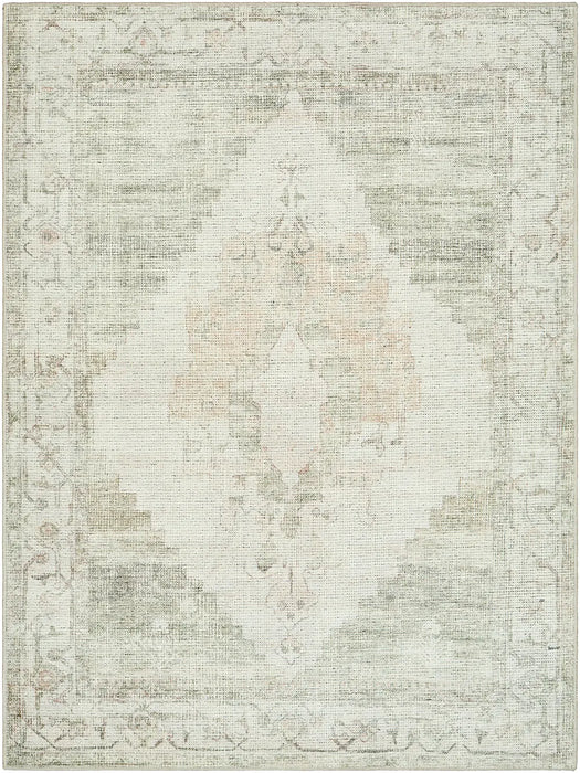 ANIKA Becki Owens x Livabliss Vintage Traditional Oriental Boho Sage Green Rug