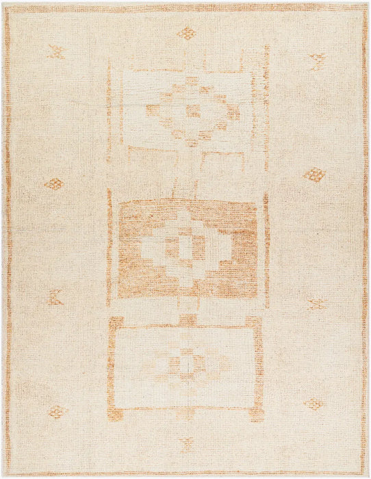 MAMTA Becki Owens x Livabliss Global Berber Apricot Rug