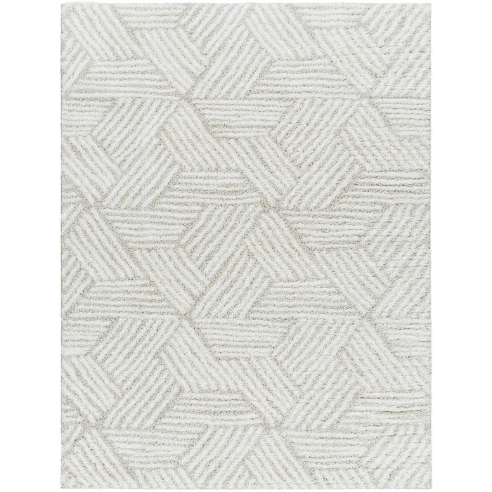 ALLIE Shaggy Geometric Plush Pile Beige Rug