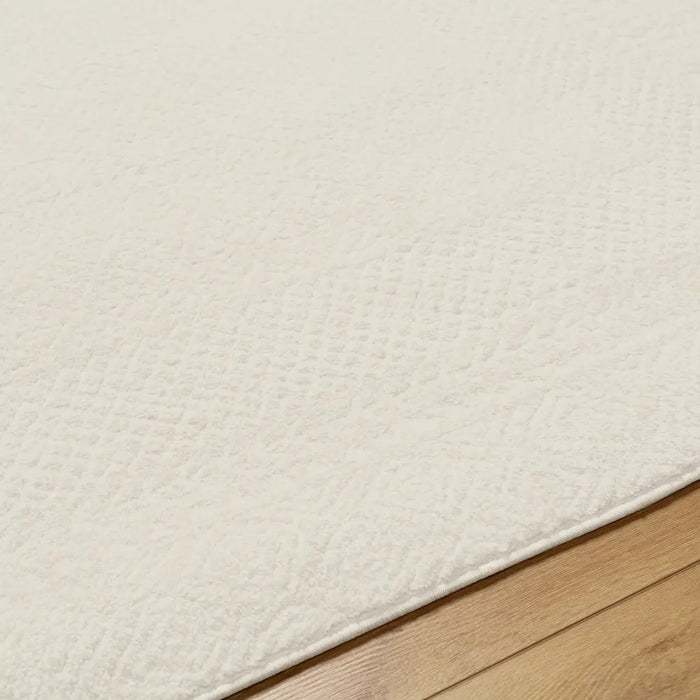 AMBRE Scandi Modern High Pile Ivory/Off-White Rug