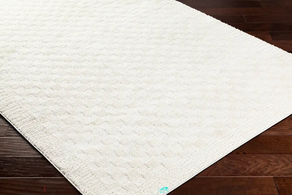 EKTA Scandi Modern High Pile Ivory/Off-White Checkered Rug