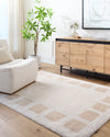 AMINE Machine Washable Modern Shaggy Beige Rug