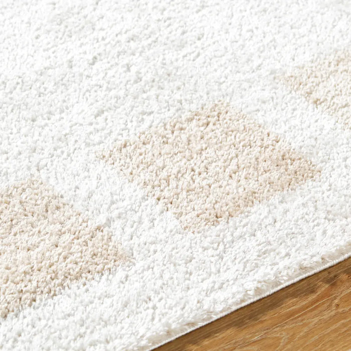 AMINE Machine Washable Modern Shaggy Beige Rug