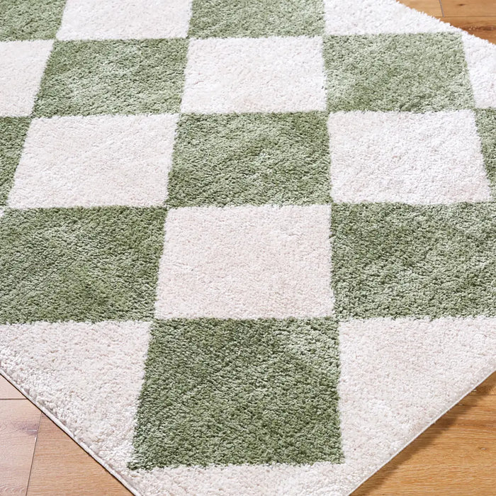 DELINE Machine Washable Modern Shaggy Grass Green Rug
