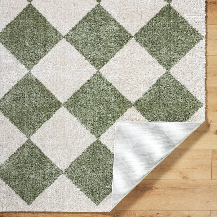 DELINE Machine Washable Modern Shaggy Grass Green Rug