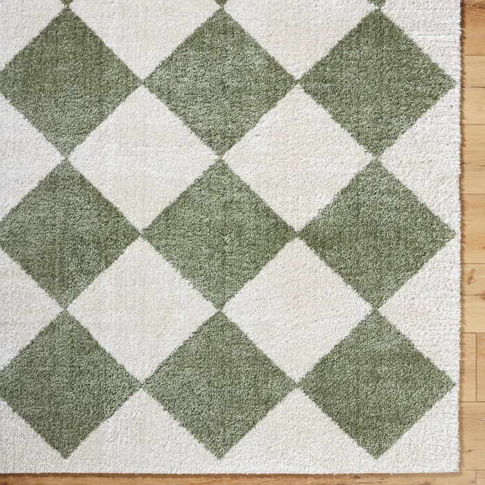 DELINE Machine Washable Modern Shaggy Grass Green Rug