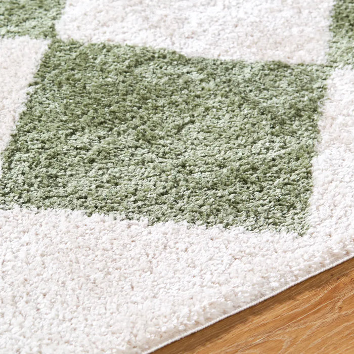 DELINE Machine Washable Modern Shaggy Grass Green Rug