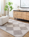 DELINE Machine Washable Modern Shaggy Medium Grey Rug