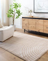 PAULINE Machine Washable Modern Shaggy Beige Rug