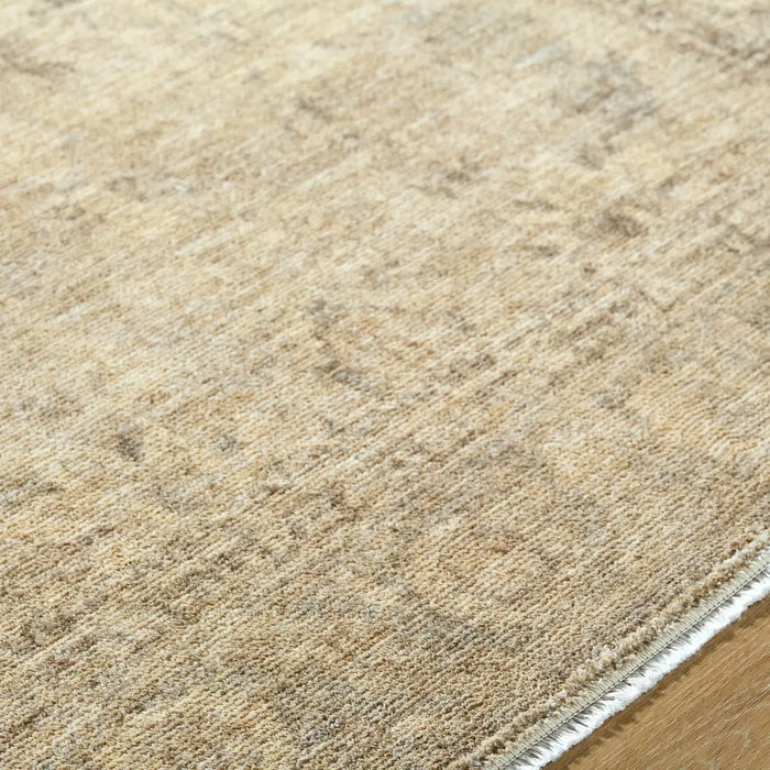 Livabliss Fetscher II Galey Alix x Livabliss Vintage Traditional Oriental Boho Light Beige Rug