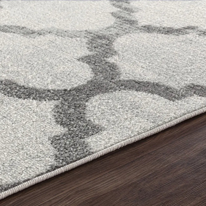 Quinn Vintage Oriental Boho Grey White Rug