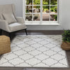 Quinn Vintage Oriental Boho White Rug