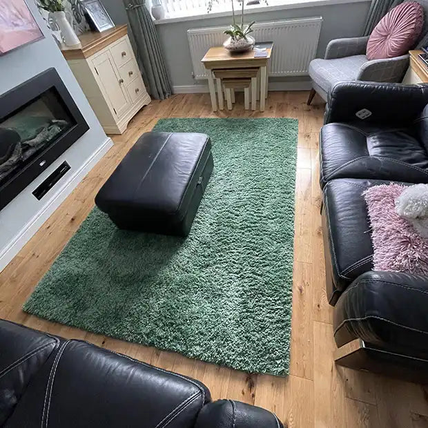 Photo by Colin P., | Oriental Weavers harmony sage green Living Room Shaggy Rug.