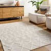 Ishani Hand-Woven Global Wool Beige Rug