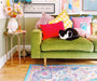 Photo By @lilyswatercolours | Green sofa with colorful pillows and a cat, surrounded by decorative items in a room.