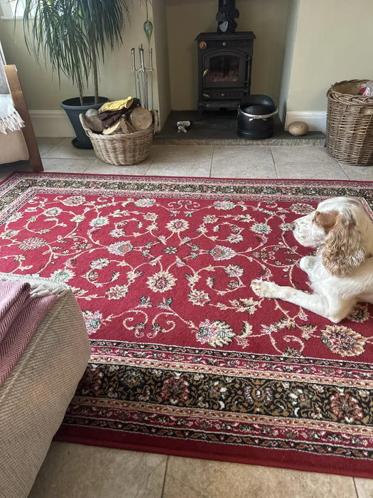 Photo By Sylvia C. |