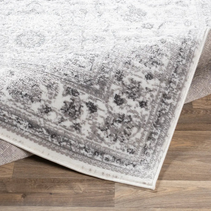 SANVI Vintage Traditional Oriental Boho Light Gray Rug
