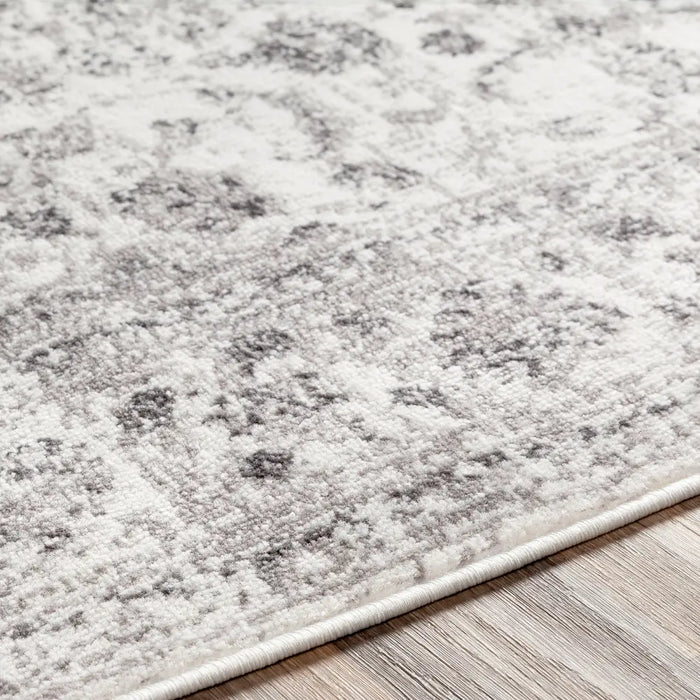 SANVI Vintage Traditional Oriental Boho Light Gray Rug