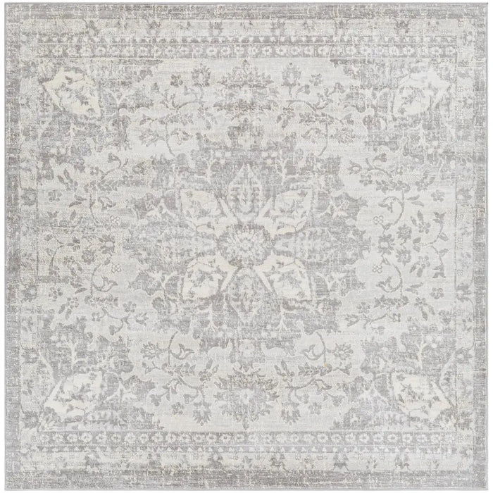 SAGE Vintage Traditional Oriental Boho Medium Grey Rug