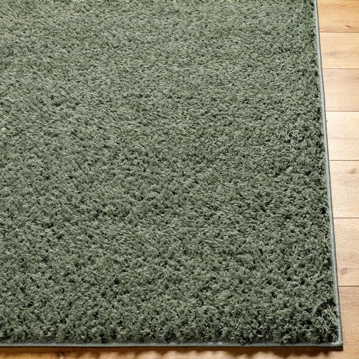 SOSO Shaggy Solid Color Plush Pile Green Rug Green