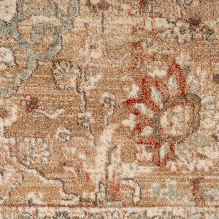 Mona Dahlia Terracotta Modern