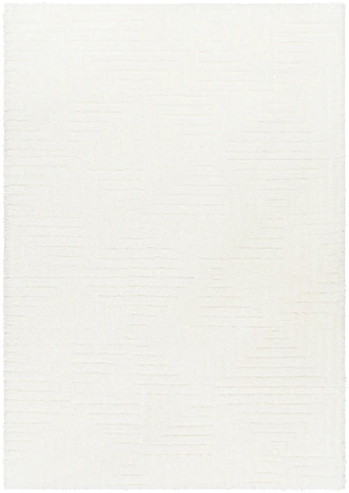 DARIANA Shaggy Modern Plush Pile Ivory Rug
