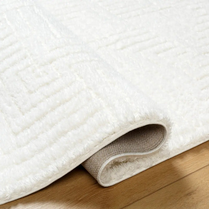 DARIANA Shaggy Modern Plush Pile Ivory Rug