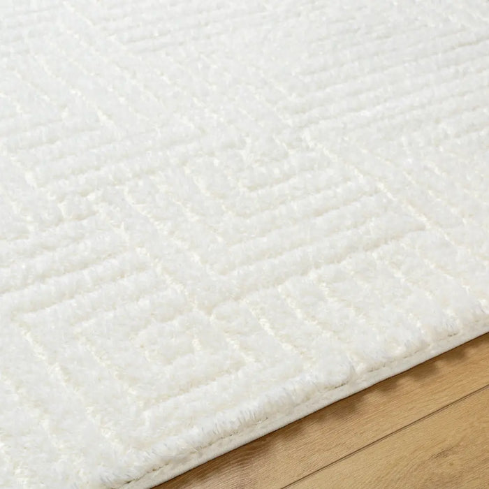 DARIANA Shaggy Modern Plush Pile Ivory Rug