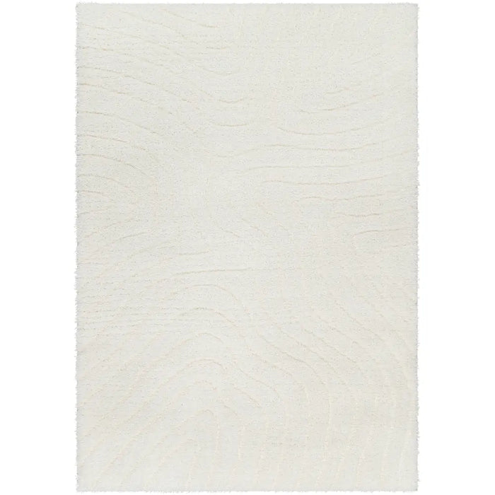 DANAE Shaggy Modern Plush Pile Ivory Rug