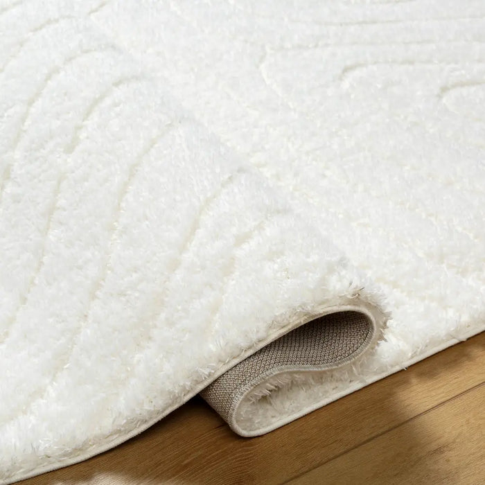 DANAE Shaggy Modern Plush Pile Ivory Rug
