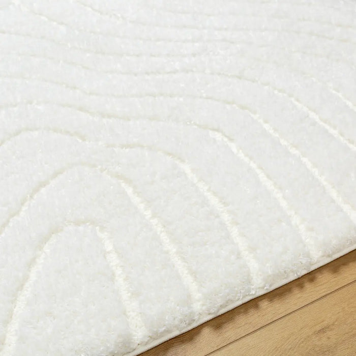 DANAE Shaggy Modern Plush Pile Ivory Rug